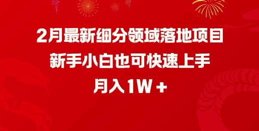 2月最新细分领域落地项目，新手小白也可快速上手，月入1W-百盟网