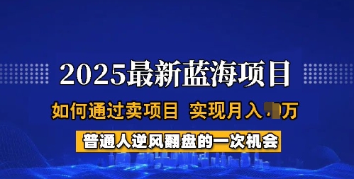 2025蓝海项目，普通人如何通过卖项目，实现月入过W，全过程【揭秘】-百盟网